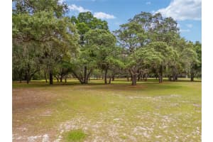 3800 130TH AVENUE, OCALA, FL 34482 Sold 12/09/24