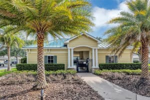 8851 NEWMARKET DRIVE, WINDERMERE, FL 34786 Sold 07/23/24