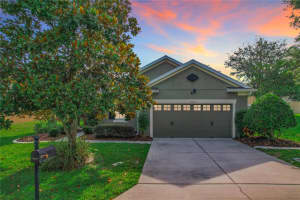 20816 OLDENBURG LOOP, MOUNT DORA, FL 32757 Sold 08/14/24