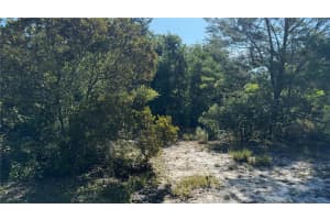 8045 307TH AVENUE, FORT MC COY, FL 32134 - MLS#MFRO6216186