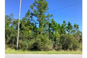 STARRY ST, ORLANDO, FL 32833 - MLS#MFRO6217077