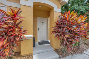 19914 VILLA CREEK DRIVE, ORLANDO, FL 32821 Sold 02/07/25