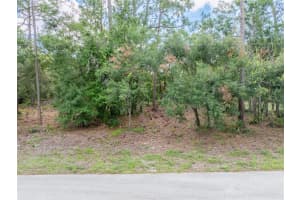 835 LARKSPUR STREET, LAKE PLACID, FL 33852 Sold 10/31/24