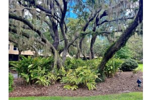 3545 Shallot Dr #101 Orlando, FL 32835 - Off Market