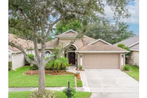 8453 BAYWOOD VISTA DR, ORLANDO, FL 32810 Sold 08/19/24