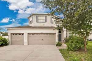 19056 CHISLEHURST DRIVE, LAND O LAKES, FL 34638 Sold 04/24/25