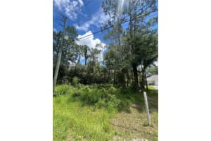 6760 QUAIL HOLLOW BOULEVARD, WESLEY CHAPEL, FL 33544 - MLS#MFRO6219607