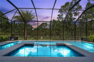 10480 ROYAL CYPRESS WAY, ORLANDO, FL 32836 Sold 08/30/24