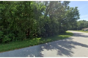 238 BAHIA CIRCLE, OCALA, FL 34472 Sold 11/04/24