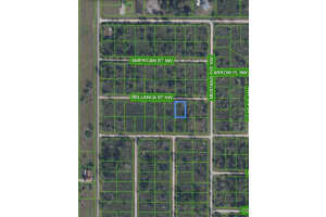 324 BELLANCA STREET, LAKE PLACID, FL 33852 Sold 11/19/24