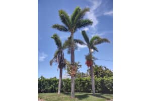 17274 ASMARA COURT, PUNTA GORDA, FL 33955 - MLS#MFRO6220514