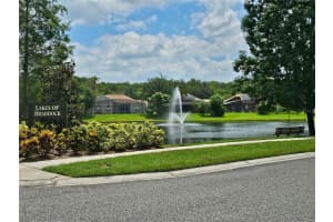 14746 BRADDOCK OAK DRIVE, ORLANDO, FL 32837 Sold 10/17/24