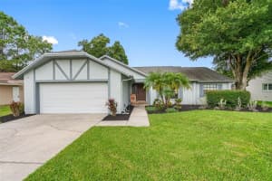 14908 COLDWATER LANE, TAMPA, FL 33624 Sold 03/31/25