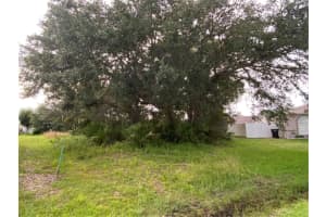 507 MAGPIE LANE, KISSIMMEE, FL 34759 Sold 07/03/25