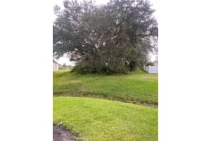 507 MAGPIE LANE, KISSIMMEE, FL 34759 Sold 07/03/25