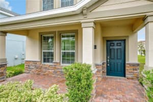 11119 SYCAMORE WOODS DRIVE, ORLANDO, FL 32832 Sold 09/06/24