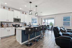 6781 PERCH HAMMOCK LOOP, GROVELAND, FL 34736 Sold 11/12/24