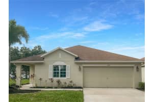 11158 Golden Silence Dr, RIVERVIEW