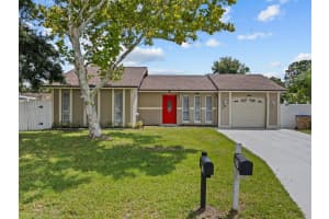 131 MILTA LANE, KISSIMMEE, FL 34743 Sold 10/25/24