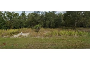 448 NAPLES COURT, KISSIMMEE, FL 34759 - MLS#MFRO6223107