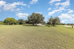 38142 HERON DRIVE, UMATILLA, FL 32784 Sold 09/13/24