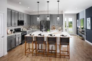 2064 FIRETHORN LOOP, HAINES CITY, FL 33844 Sold 11/23/24