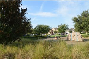10272 ATWATER BAY DRIVE, WINTER GARDEN, FL 34787 Sold 12/03/24