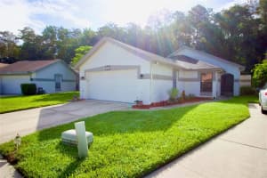 11707 PEACH GROVE LANE, ORLANDO, FL 32821 Sold 11/21/24