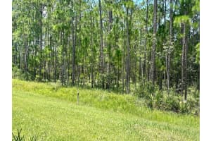 124 CERISE COURT, DAYTONA BEACH, FL 32124 Sold 08/01/25