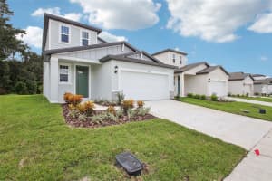 3814 RADIANT MOUNTAIN DRIVE, PLANT CITY, FL 33565 Sold 03/21/25