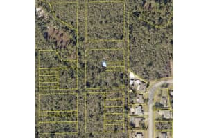 EVELYN (PAPER) ST, DELTONA, FL 32738 Sold 03/12/25