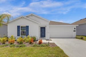 26110 BRISTLELEAF COURT, LEESBURG, FL 34748 Sold 10/11/24