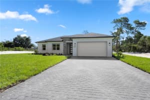 42322 CHINABERRY STREET, EUSTIS, FL 32736 Sold 11/12/24