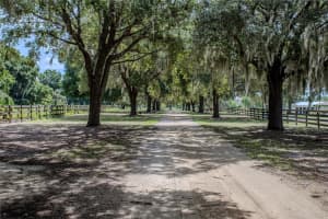 16600 CLEVELAND LANE, UMATILLA, FL 32784 Sold 07/11/25