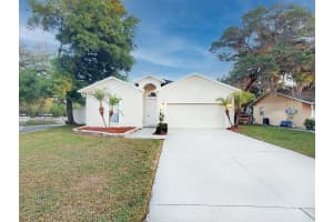11102 HAPPY ACRES LANE, RIVERVIEW, FL 33578 Sold 12/19/24