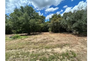 2403 PECOS LANE, POINCIANA, FL 34759 Sold 02/24/25