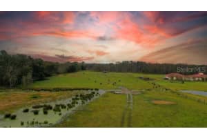 1850 SLOANS RIDGE ROAD, GROVELAND, FL 34736 - MLS#MFRO6225260
