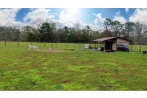 1850 SLOANS RIDGE ROAD, GROVELAND, FL 34736 - MLS#MFRO6225260