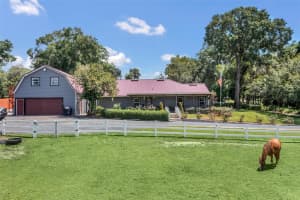 841 VOTAW ROAD, APOPKA, FL 32703 Sold 12/06/24