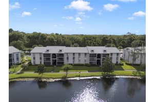 1017 S PINE RIDGE CIR, SANFORD, FL 32773 Sold 08/15/24