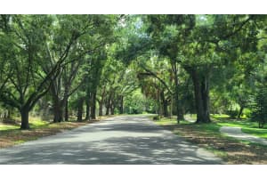 213 WEEPING ELM LANE, LONGWOOD, FL 32779 Sold 09/16/24