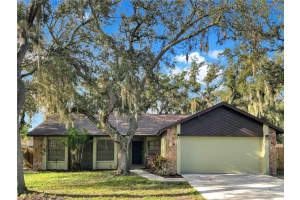 1001 ELM GROVE LANE, VALRICO, FL 33596 Sold 03/07/25