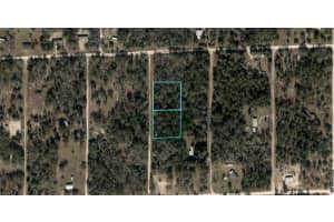 NE 127TH CT, WILLISTON, FL 32696 Sold 11/05/24