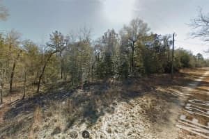 NE 127TH CT, WILLISTON, FL 32696 Sold 11/05/24