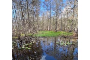 NOT IN SUBDIVISION, LAKE WALES, FL 33898 - MLS#MFRO6227310