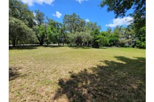 DAVIS RD, TAMPA, FL 33637 Sold 02/12/25