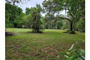DAVIS RD, TAMPA, FL 33637 Sold 02/12/25