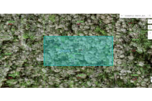 N/A, POLK CITY, FL 33868 - MLS#MFRO6227968