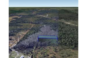 320 DILL ROAD, ORLANDO, FL 32820 Sold 09/12/24