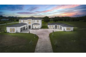 5525 CUTTING HORSE WAY, GROVELAND, FL 34736 Sold 12/25/24